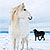 l'illustré - around iceland l'illustré - around iceland