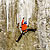 mountain report / urnerboden